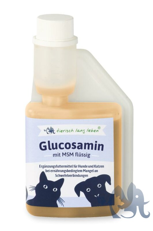 der ovre Historiker Bebrejde Glucosamin mit MSM | flüssig | für Hund & Katze | 250 ml | tierisch l