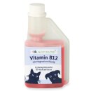 Vitamin B12 mit Magnesium flüssig 250 ml für...